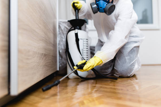 Best Local Pest Control Services  in Franklin Furnace, OH