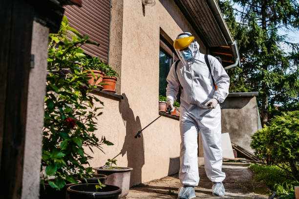 Trusted Franklin Furnace, OH Pest Control Experts