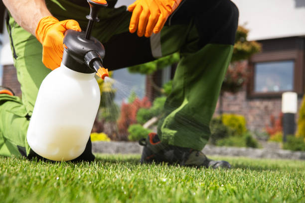 Best Spider Control Near Me  in Franklin Furnace, OH