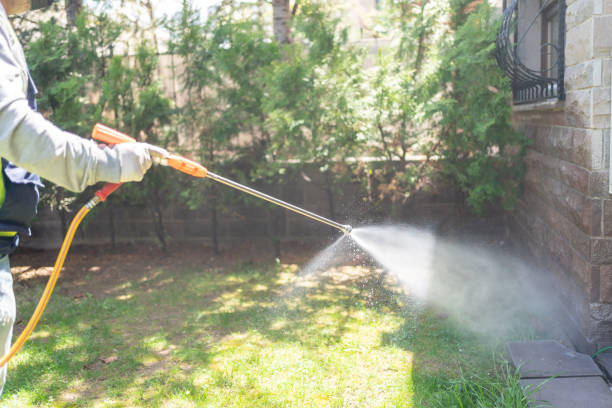 Best Pest Control Near Me  in Franklin Furnace, OH