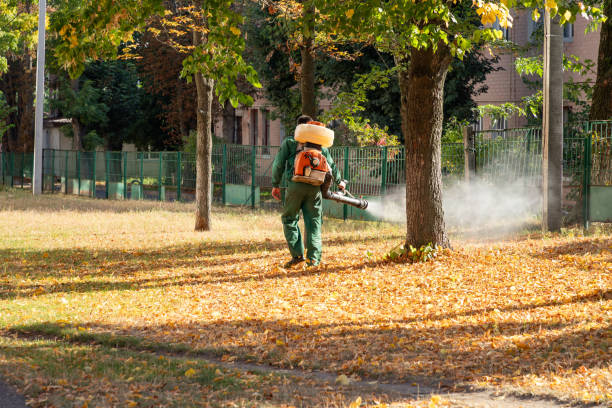 Best Pest Inspection Near Me  in Franklin Furnace, OH