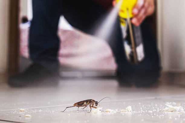 Best Residential Pest Control  in Franklin Furnace, OH