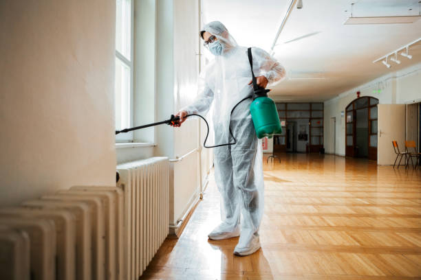 Best Cockroach Control Services  in Franklin Furnace, OH